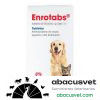 Enrotabs caja de 24 tabletas - SUVET