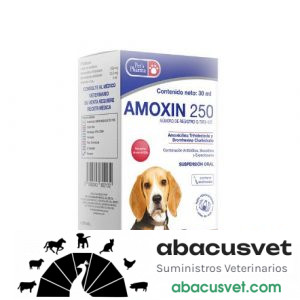 Amoxin 250  frasco de 30 ml  - SUVET