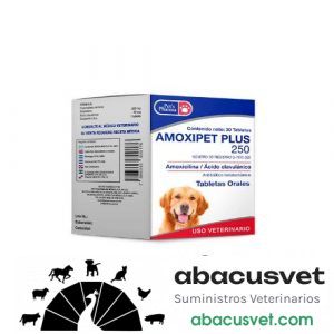 Amoxipet 250 frasco de 60 ml - SUVET