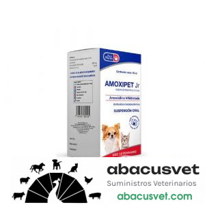 Amoxipet JR  frasco de 15 ml - SUVET