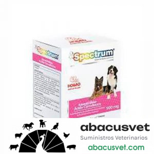 RX SPECTRUM AMOXICILINA + ACIDO CLAVULANICO caja con 20 tabletas de 500 mg - SUVET