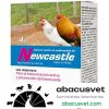 Vacuna Bew Castle  blister de 100 dosis - SUVET