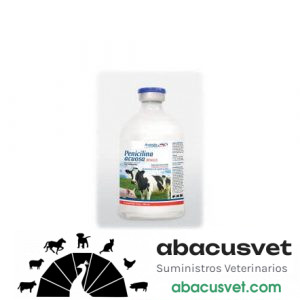 Penicilina Acuosa frasco de 100 ml - SUVET