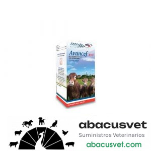 Avancef RTU frasco de 250 ml - SUVET