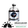 EIVER B12 frasco de 500 tabs - SUVET