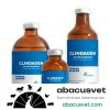 Clindagen frasco de 25 ml - SUVET