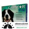 Capstar 57 mg Caja con 6 tabletas de 500 mg - SUVET