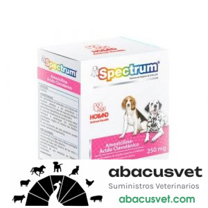 RX SPECTRUM AMOXICILINA + ACIDO CLAVULANICO caja con 20 tabletas de 250 mg - SUVET