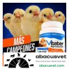VITATER Reproducción Empaque con 100 sobres de 10 gr - SUVET