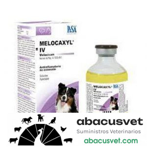 Melocaxyl IV frasco de 20 ml - SUVET
