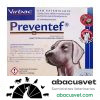 Preventef perro mediano agotado collar - SUVET