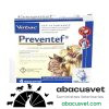 Preventef gato collar - SUVET