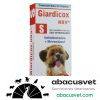 Giardicox NVR S caja de 20 tabletas - SUVET