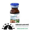 Complejo B REFORZADO frasco de 10 ml - SUVET