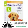ItraconaPet´s NRV L caja con 20 Cápsulas de 125 mg - SUVET