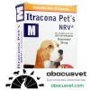 ItraconaPet´s NRV M caja con 20 Cápsulas de 50 mg - SUVET