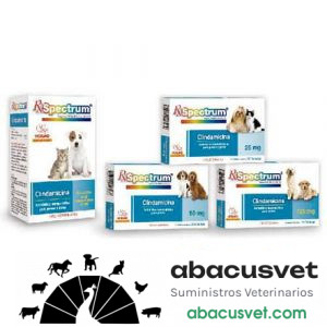 RX SPECTRUM CLINDAMICINA Solución Oral frasco de 25 ml - SUVET