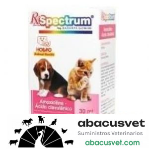 RX SPECTRUM AMOXICILINA + ACIDO CLAVULANICO frasco de 30 ml - SUVET