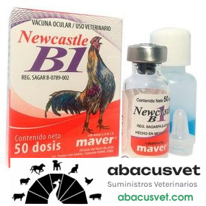 NEWCASTLE VIRUS VIVO CEPA B1 Maver frasco de 1000 dosis - SUVET