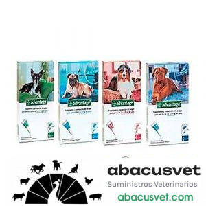 Advantage 25 kg pipeta de 2.5 ml - SUVET