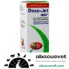 Dexa-Jet NRV* frasco de 15 ml - SUVET