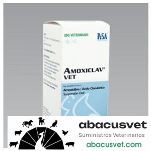 Amoxiclav VET Suspensión Polvo frasco de 70 ml - SUVET