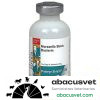 Pinkeye Shield XT4 Sobre Pedido Frasco con 10 dosis de 20 ml - SUVET